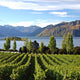 Antipodean Festival of Wine Ticket : Friday 19 September