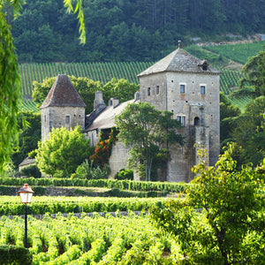 French Festival of Wine Ticket : Friday 29 August
