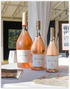 Whispering Angel Cotes de Provence Rose 2023 : Double Magnum